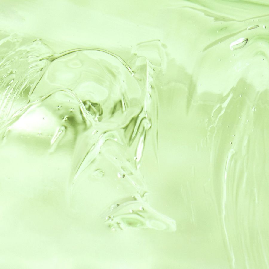 Biodance Refreshing Sea Kelp Serum