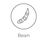 Bean