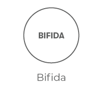 Bifida