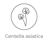 Centella Asiatica