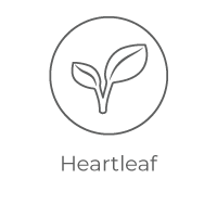 Heartleaf