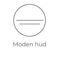Moden hud