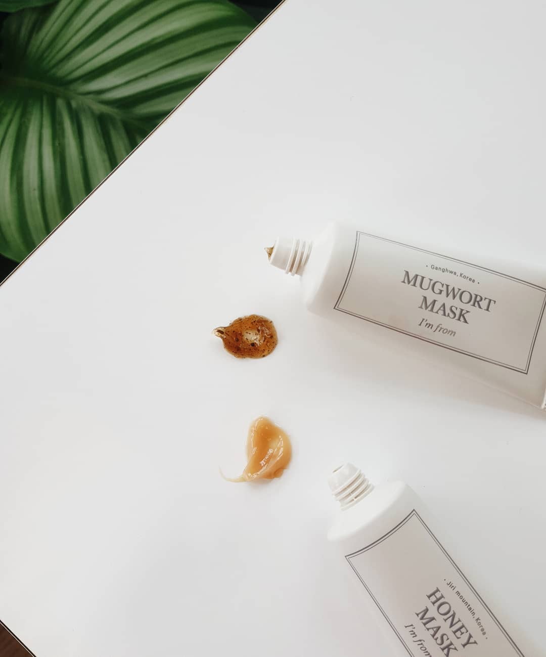 Honey & Mugwort mask