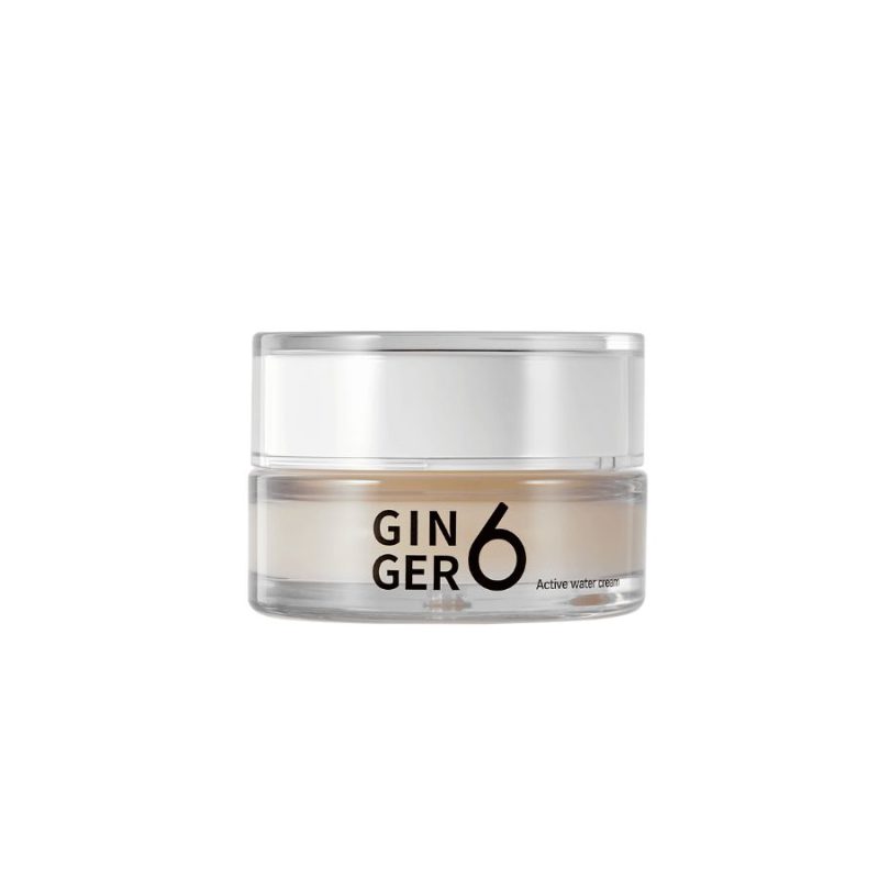 GINGER6 Active Water Cream SkinSecret koreansk hudpleie